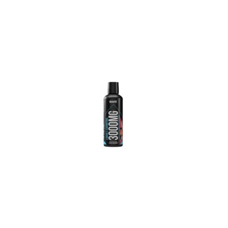 GIANT SPORTS CARNITINA 3000 MG, 31 SERVS